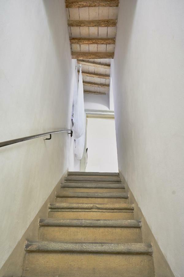 Casa Laurentius 피사 외부 사진